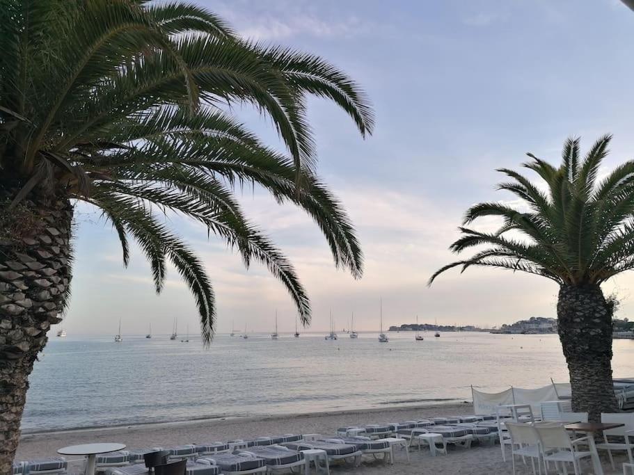 "Le Palmier Dore", Cosy T3 A 3 Minutes A Pied Des Plages, Parking Et Clim Sanary-sur-Mer Εξωτερικό φωτογραφία